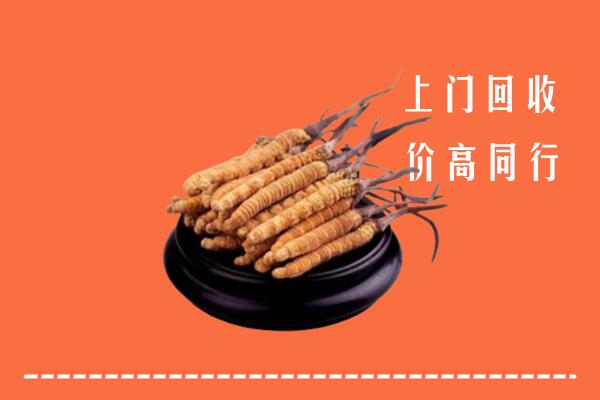 收购行情：靖远县回收散虫草